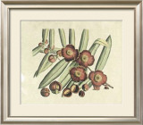 Buy Botanical I at AllPosters.com