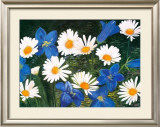 Buy Spring Time Friends at AllPosters.com