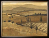 Golden Tuscany Afternoon II