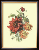 Buy Lush Floral II at AllPosters.com