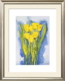 Yellow Tulips