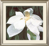 Magnolia Study