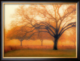 Buy Memory of Trees at AllPosters.com