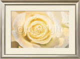 Buy La Paloma at AllPosters.com