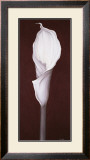 Buy My Small Lily I at AllPosters.com