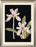 Buy Black Magic I at AllPosters.com