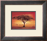 Buy Namib at AllPosters.com
