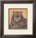 Buy Safari Tiger at AllPosters.com