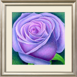 Buy Big Rose, c.2004 at AllPosters.com