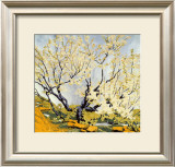 Buy Silver Sky at AllPosters.com
