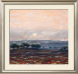 Buy Poppy Fields at AllPosters.com