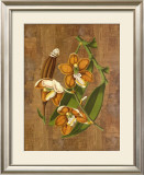 Buy Sumatra Orchids II at AllPosters.com