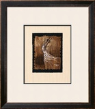 Graceful Motion IV