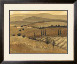 Golden Tuscany Afternoon II