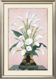 Calla Lilies