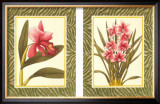 Buy Eleganza! at AllPosters.com