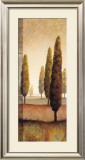 Buy Sunrise I at AllPosters.com