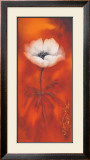Buy Anemone II at AllPosters.com