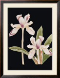 Buy Black Magic I at AllPosters.com