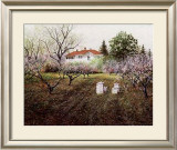 Buy Honey Bees at AllPosters.com