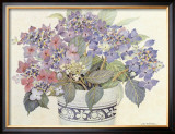 Buy Lace Cap Hydrangeas at AllPosters.com