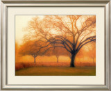 Buy Memory of Trees at AllPosters.com