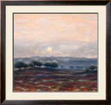 Buy Poppy Fields at AllPosters.com