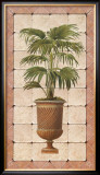Buy Mediterranean Palms II at AllPosters.com