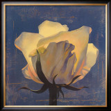 Buy Glowing White Rose at AllPosters.com