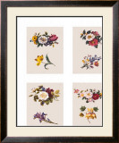 Buy Petit Fleurs at AllPosters.com