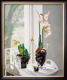 Buy Amaryllus I at AllPosters.com
