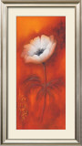 Anemone I