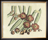 Buy Botanical I at AllPosters.com