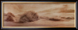 Buy Boundless Vista at AllPosters.com