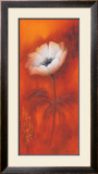 Buy Anemone I at AllPosters.com