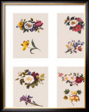 Buy Petit Fleurs at AllPosters.com