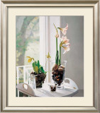 Buy Amaryllus I at AllPosters.com