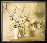 Buy Magnolia Branches at AllPosters.com