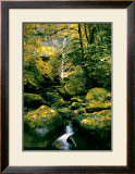 Buy Elowah Falls at AllPosters.com