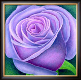 Buy Big Rose, c.2004 at AllPosters.com