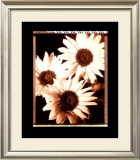 Buy Beautiful Flower IV at AllPosters.com