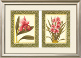 Buy Eleganza! at AllPosters.com
