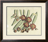 Buy Botanical I at AllPosters.com