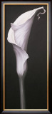 Buy My Small Lily II at AllPosters.com