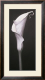 Buy My Small Lily II at AllPosters.com