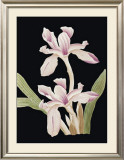 Buy Black Magic II at AllPosters.com