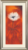 Anemone II