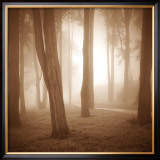 Buy Woods Study II at AllPosters.com