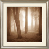 Buy Woods Study II at AllPosters.com