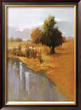 Buy Sage Sensation at AllPosters.com